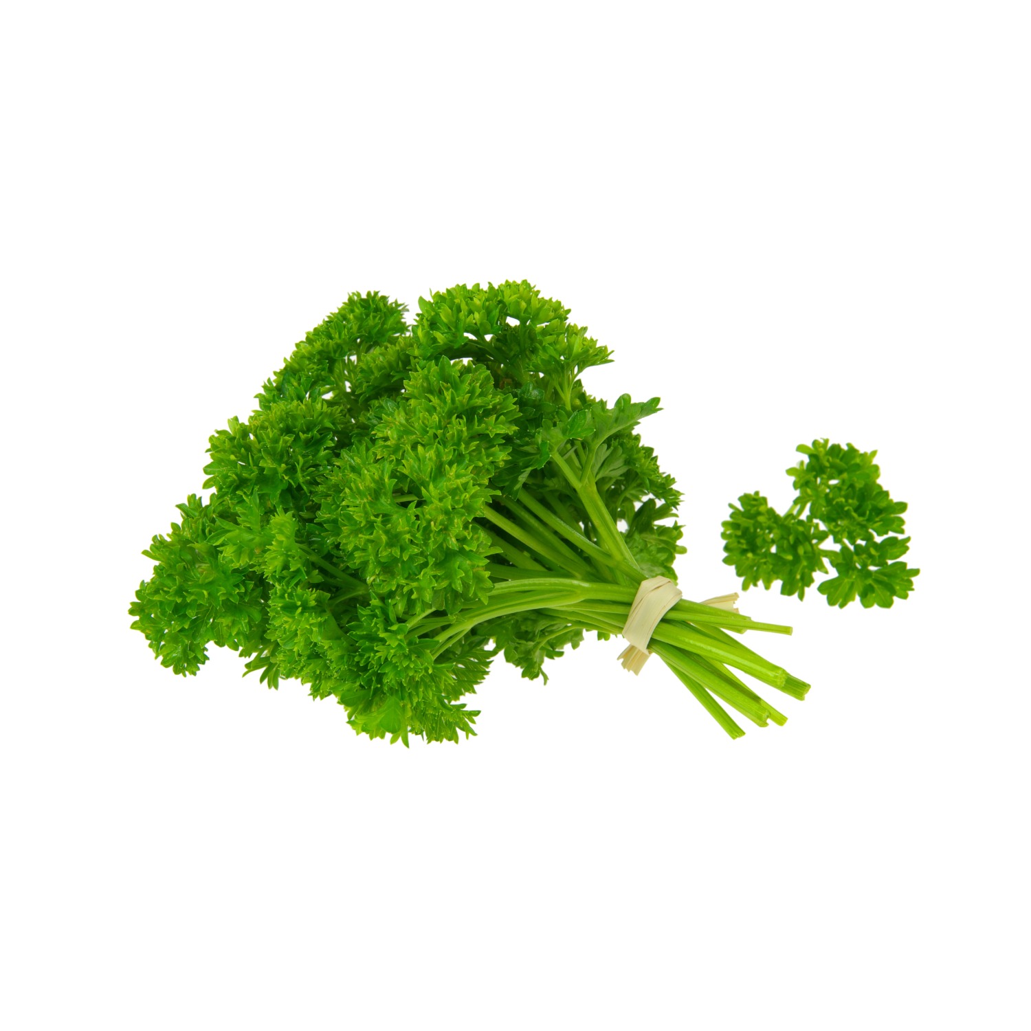 Petersilie Krause lose, 1 x 1 Kg