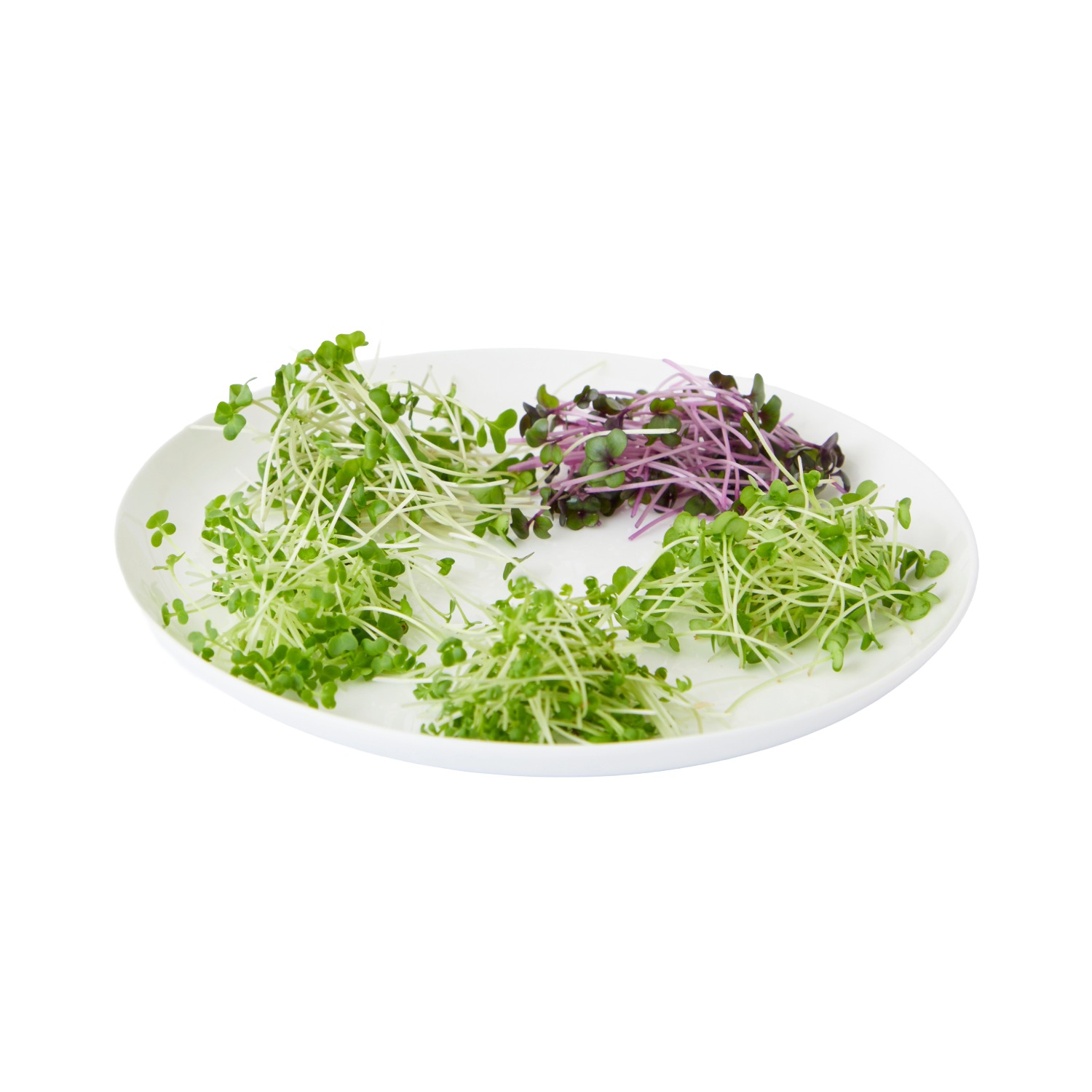 Kresse Mix Shiso, 16 er, 1 x 1 Schale