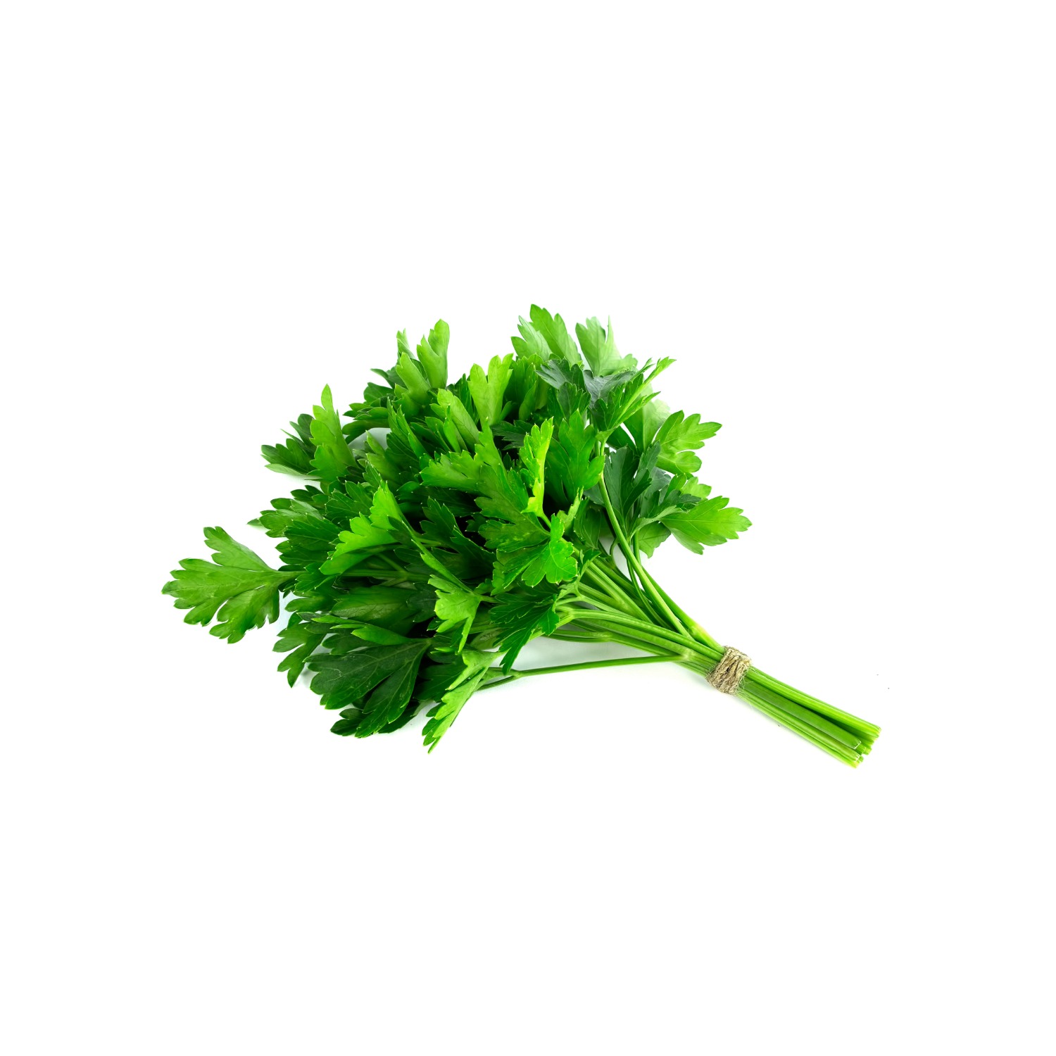 Petersilie Blatt, 1 x 1 Bund