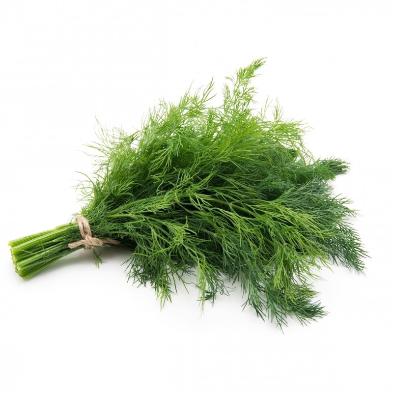 Dill Lose, 1 x 40 g Schale