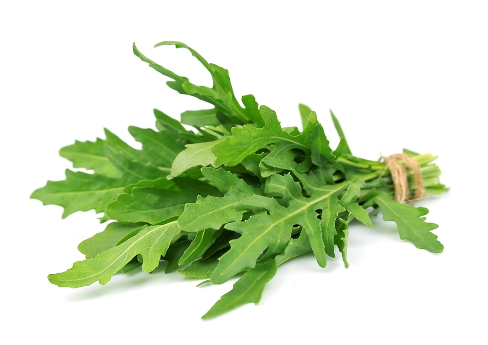 Rucola, 1 x 1 Kiste à 10 x 100g Bund