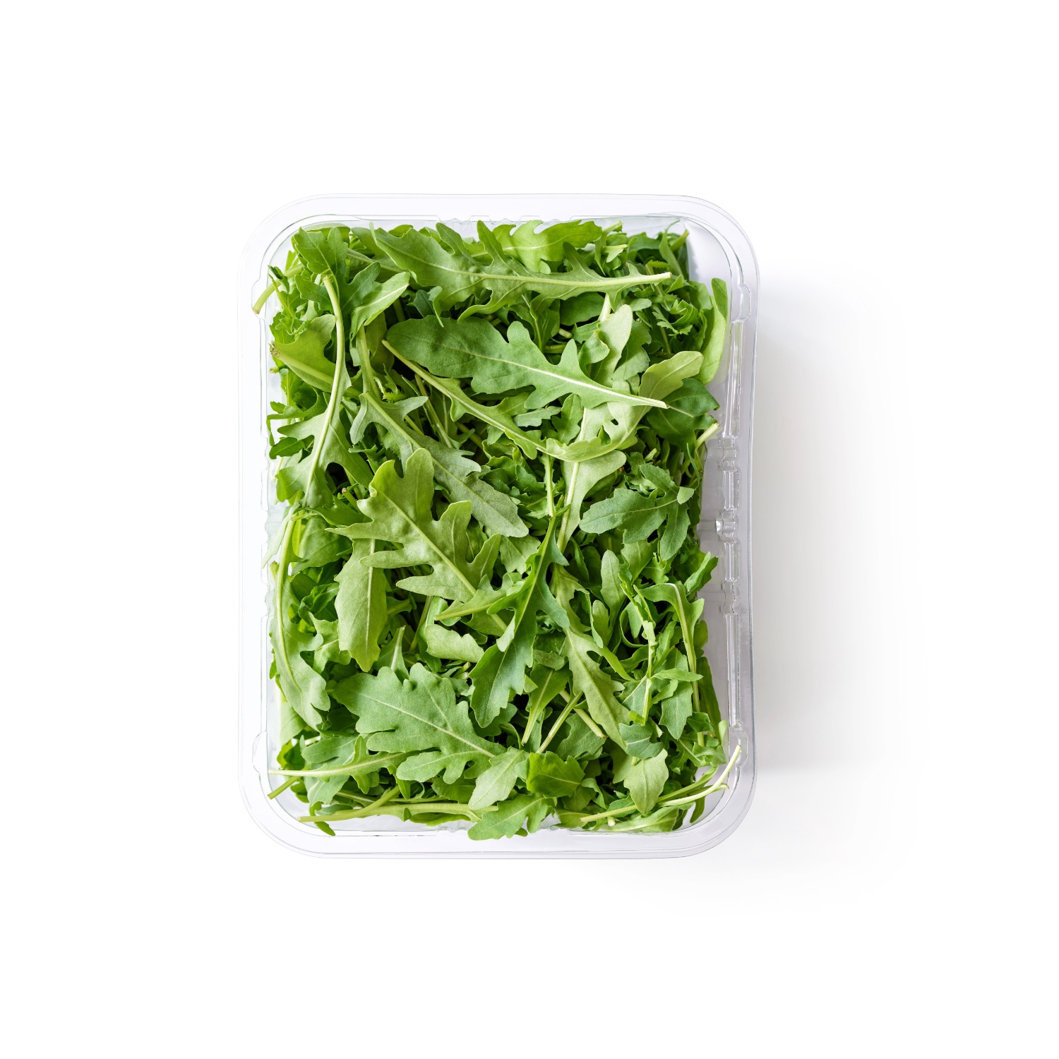 Rucola, 1 Schale à 125g