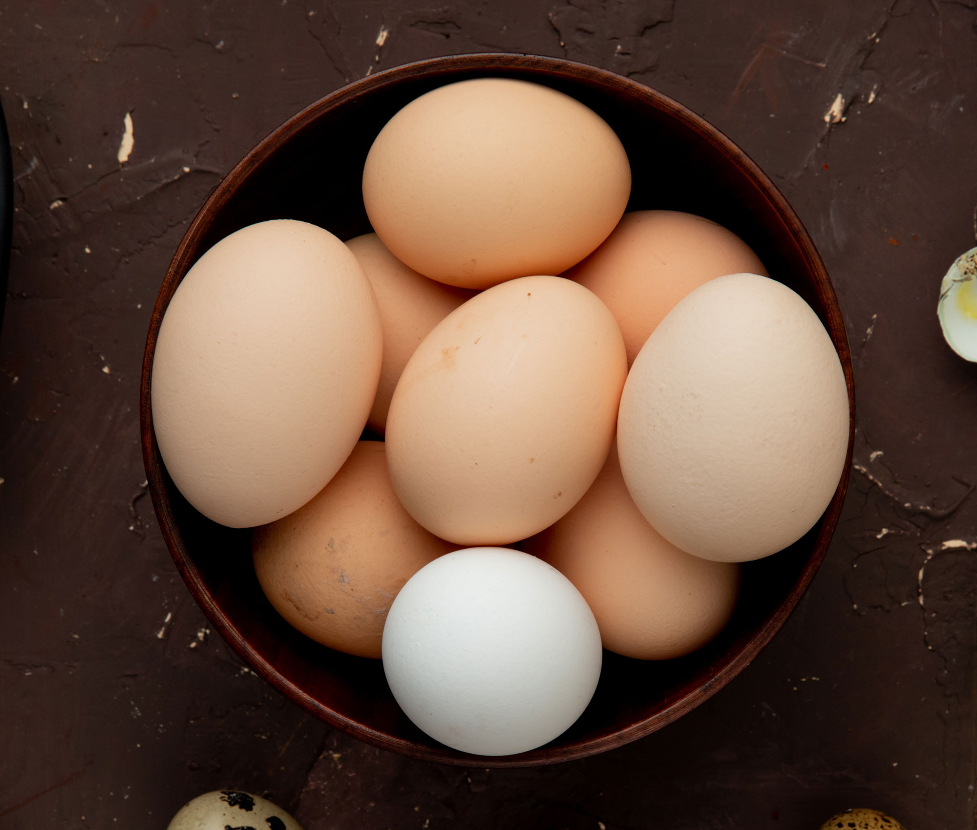 Eier & Molkereiprodukte