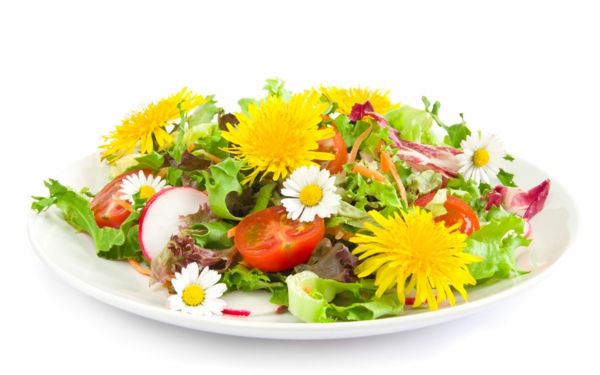 Ess Blumen zur Dekoration, 1 x 1 Schale